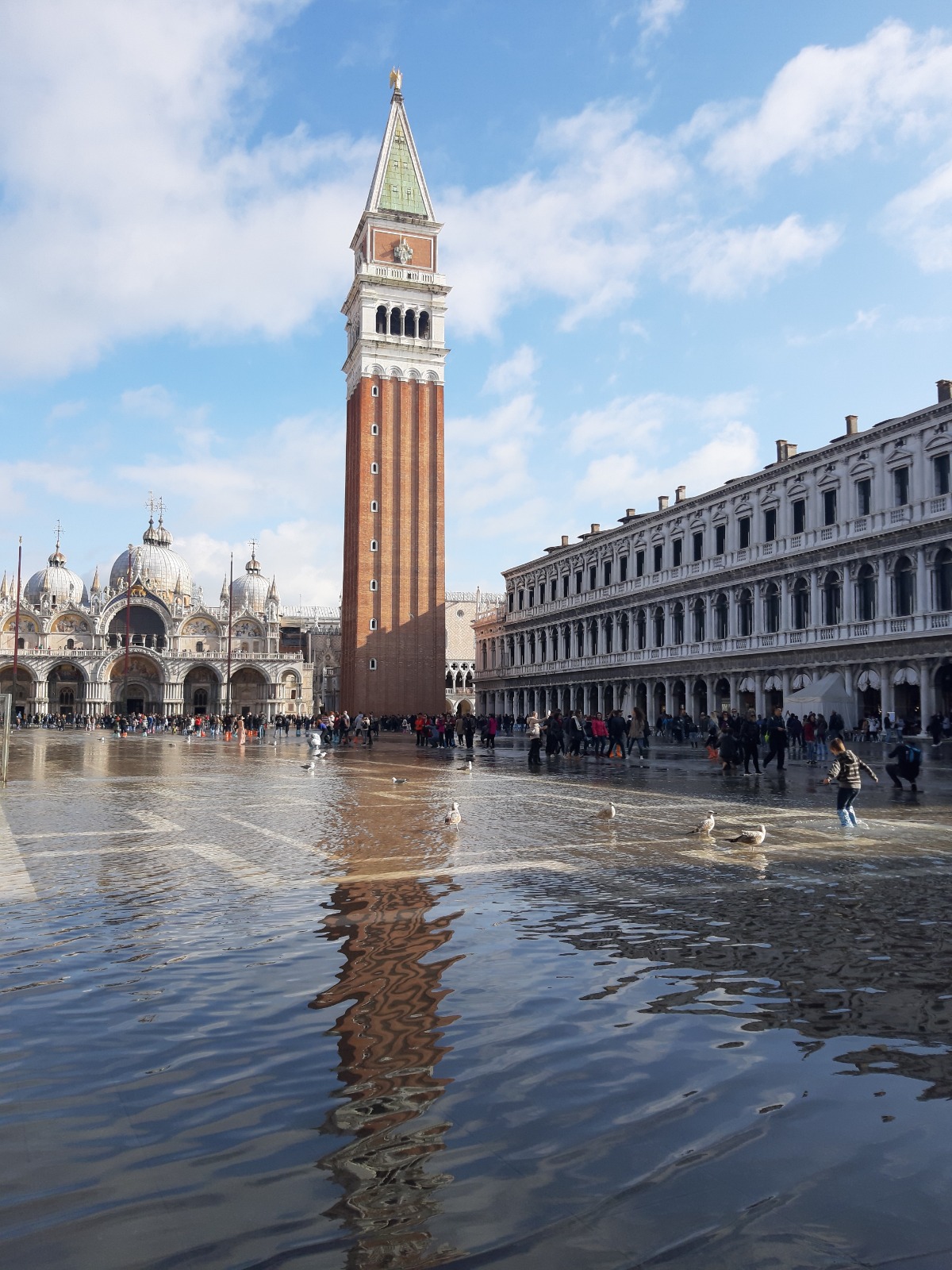 piazza san marco e turismo a venezia